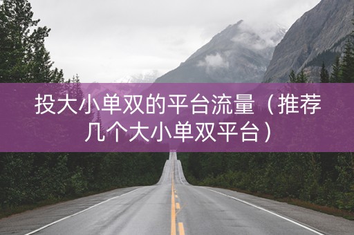 投大小单双的平台流量（推荐几个大小单双平台）