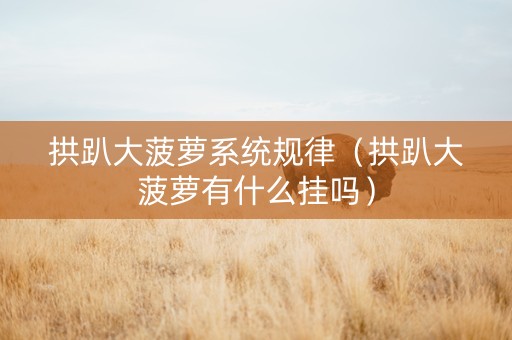 拱趴大菠萝系统规律（拱趴大菠萝有什么挂吗）
