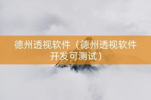德州透视软件（德州透视软件开发可测试）
