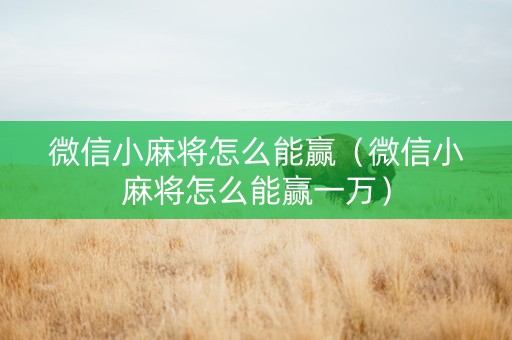 微信小麻将怎么能赢（微信小麻将怎么能赢一万）
