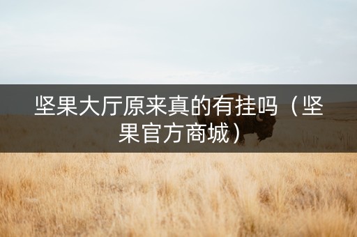 坚果大厅原来真的有挂吗（坚果官方商城）