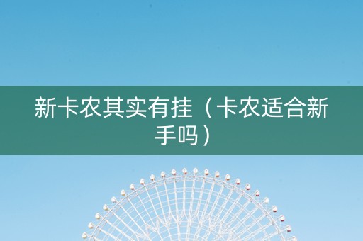 新卡农其实有挂（卡农适合新手吗）