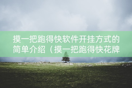 摸一把跑得快软件开挂方式的简单介绍（摸一把跑得快花牌）