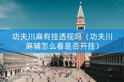 功夫川麻有挂透视吗（功夫川麻辅怎么看是否开挂）
