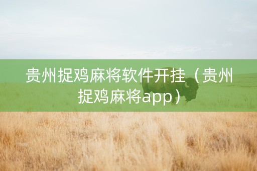 贵州捉鸡麻将软件开挂（贵州捉鸡麻将app）