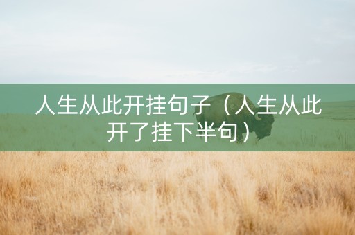 人生从此开挂句子（人生从此开了挂下半句）