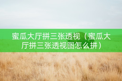 蜜瓜大厅拼三张透视（蜜瓜大厅拼三张透视图怎么拼）