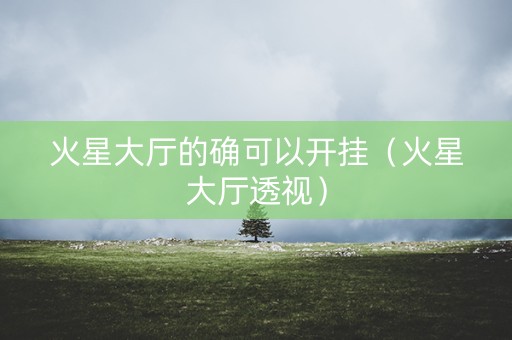 火星大厅的确可以开挂（火星大厅透视）
