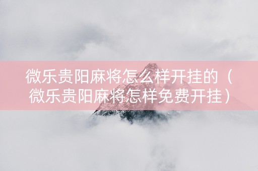 微乐贵阳麻将怎么样开挂的（微乐贵阳麻将怎样免费开挂）
