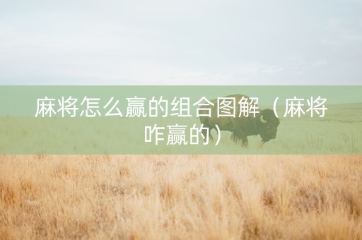 麻将怎么赢的组合图解（麻将咋赢的）