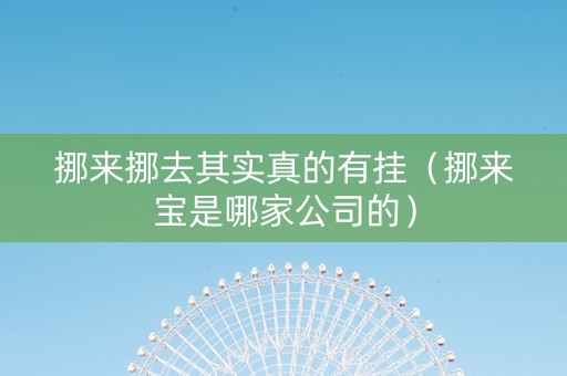 挪来挪去其实真的有挂（挪来宝是哪家公司的）