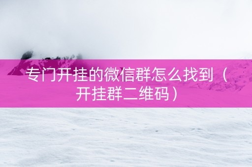 专门开挂的微信群怎么找到（开挂群二维码）