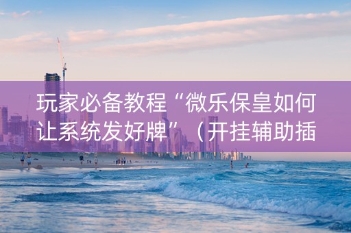 玩家必备教程“微乐保皇如何让系统发好牌”（开挂辅助插件)