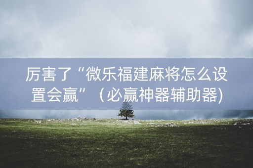 厉害了“微乐福建麻将怎么设置会赢”（必赢神器辅助器)