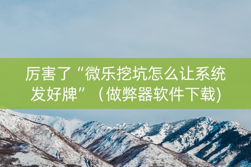 厉害了“微乐挖坑怎么让系统发好牌”（做弊器软件下载)