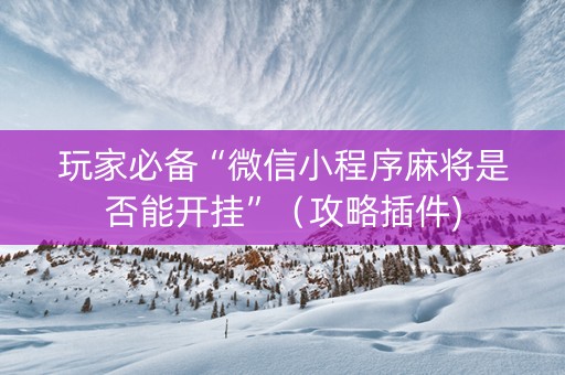 玩家必备“微信小程序麻将是否能开挂”（攻略插件)