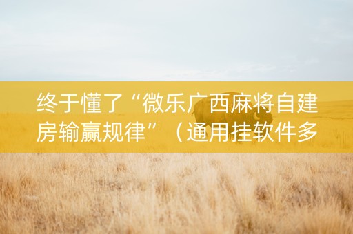 终于懂了“微乐广西麻将自建房输赢规律”（通用挂软件多少钱)