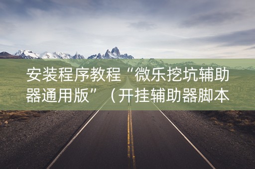 安装程序教程“微乐挖坑辅助器通用版”（开挂辅助器脚本)
