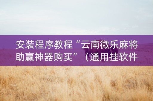 安装程序教程“云南微乐麻将助赢神器购买”（通用挂软件多少钱)