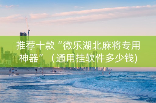 推荐十款“微乐湖北麻将专用神器”（通用挂软件多少钱)
