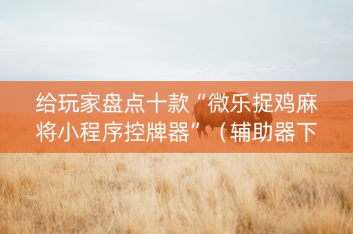 给玩家盘点十款“微乐捉鸡麻将小程序控牌器”（辅助器下载)