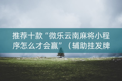 推荐十款“微乐云南麻将小程序怎么才会赢”（辅助挂发牌规律)