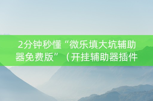 2分钟秒懂“微乐填大坑辅助器免费版”（开挂辅助器插件)