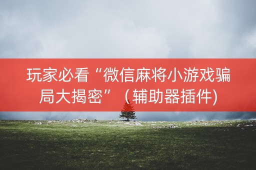 玩家必看“微信麻将小游戏骗局大揭密”（辅助器插件)