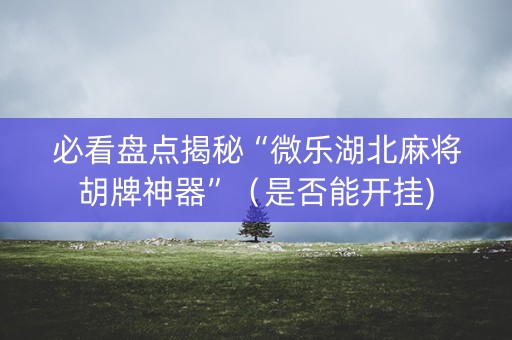 必看盘点揭秘“微乐湖北麻将胡牌神器”（是否能开挂)