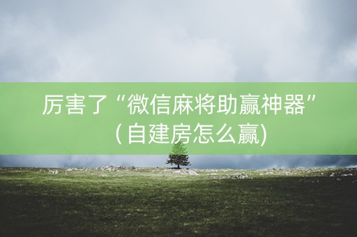 厉害了“微信麻将助赢神器”（自建房怎么赢)