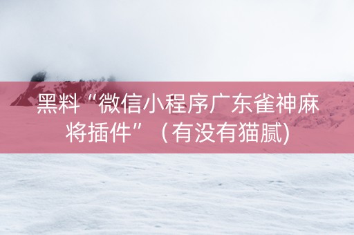 黑料“微信小程序广东雀神麻将插件”（有没有猫腻)