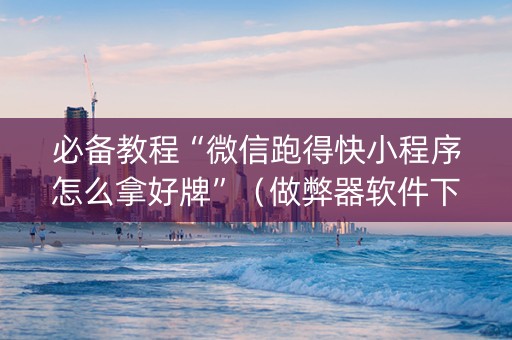 必备教程“微信跑得快小程序怎么拿好牌”（做弊器软件下载)