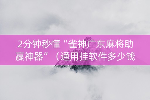 2分钟秒懂“雀神广东麻将助赢神器”（通用挂软件多少钱)