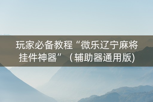 玩家必备教程“微乐辽宁麻将挂件神器”（辅助器通用版)