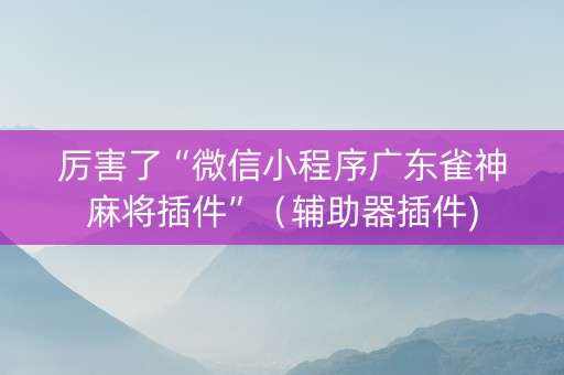厉害了“微信小程序广东雀神麻将插件”（辅助器插件)