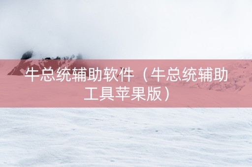 牛总统辅助软件（牛总统辅助工具苹果版）