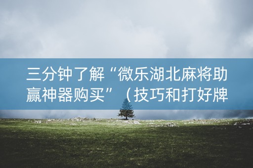 三分钟了解“微乐湖北麻将助赢神器购买”（技巧和打好牌方法)