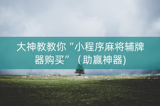 大神教教你“小程序麻将辅牌器购买”（助赢神器)