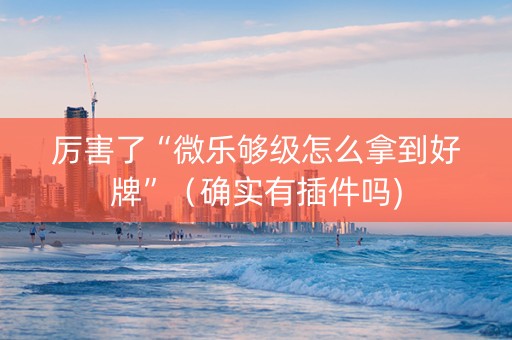 厉害了“微乐够级怎么拿到好牌”（确实有插件吗)