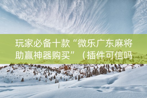 玩家必备十款“微乐广东麻将助赢神器购买”（插件可信吗)