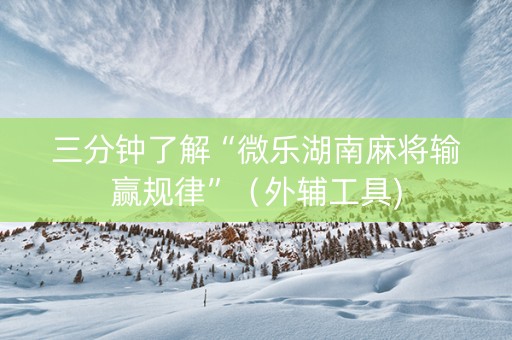 三分钟了解“微乐湖南麻将输赢规律”（外辅工具)