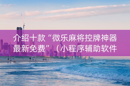 介绍十款“微乐麻将控牌神器最新免费”（小程序辅助软件)