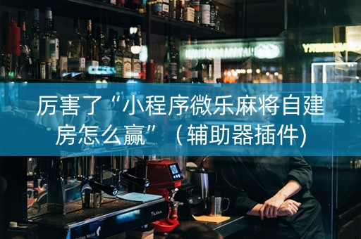 厉害了“小程序微乐麻将自建房怎么赢”（辅助器插件)