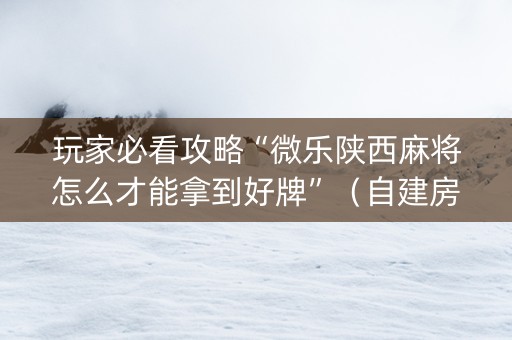玩家必看攻略“微乐陕西麻将怎么才能拿到好牌”（自建房怎么拿好牌)