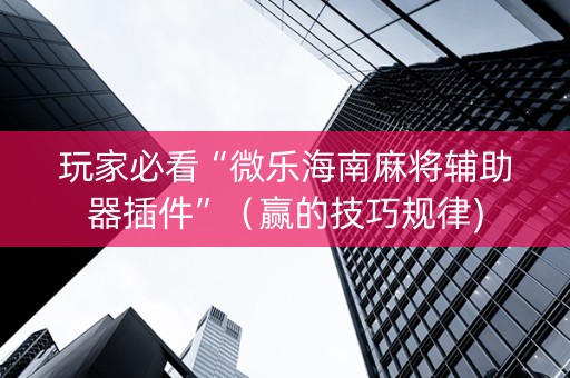 玩家必看“微乐海南麻将辅助器插件”（赢的技巧规律)