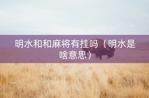 明水和和麻将有挂吗（明水是啥意思）