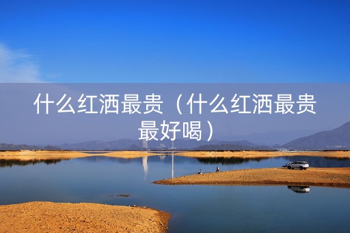什么红洒最贵（什么红洒最贵最好喝）