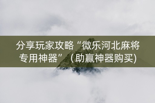 分享玩家攻略“微乐河北麻将专用神器”（助赢神器购买)