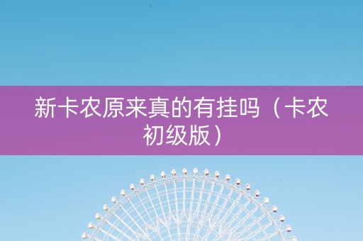 新卡农原来真的有挂吗（卡农初级版）