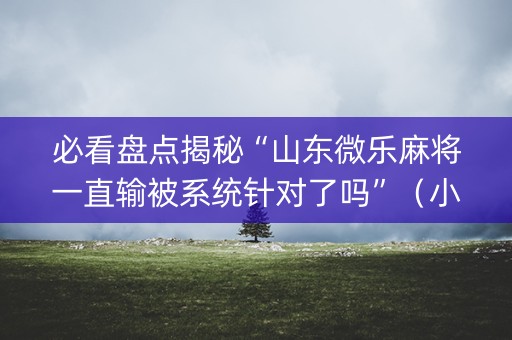 必看盘点揭秘“山东微乐麻将一直输被系统针对了吗”（小程序控牌器)